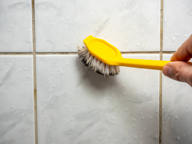 Best Toxic Mold Removal  in Brooklyn Park, MD