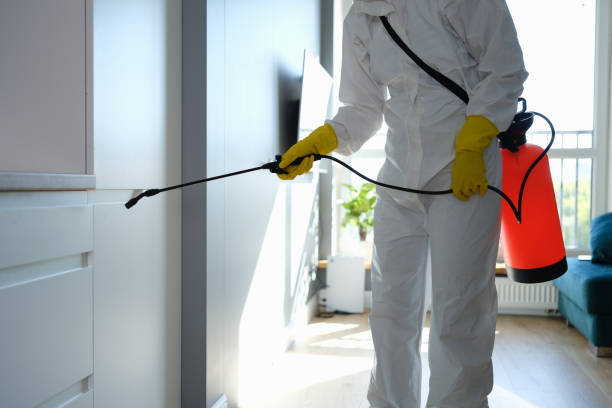 Best Professional Mold Removal  in Brooklyn Park, MD