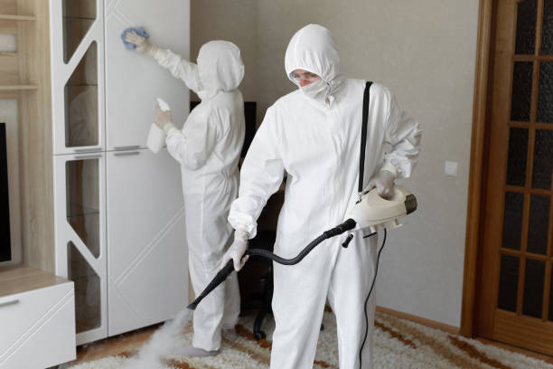 Attic Mold Removal in Brooklyn Park, MD
