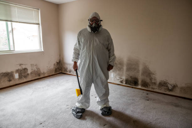 Best Commercial Mold Removal  in Brooklyn Park, MD